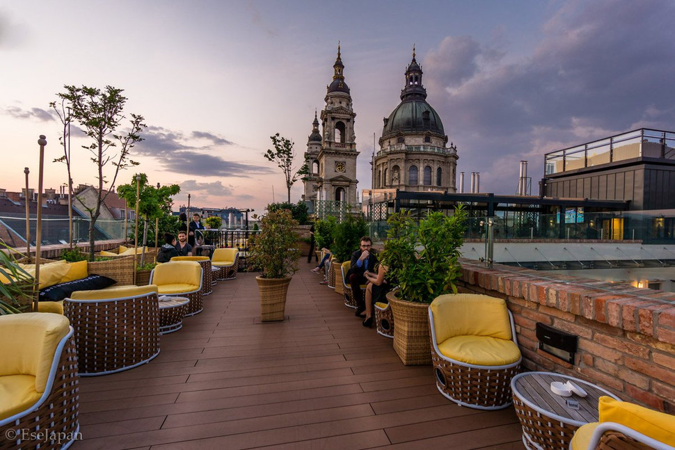 budapest_bar_gin_tonic